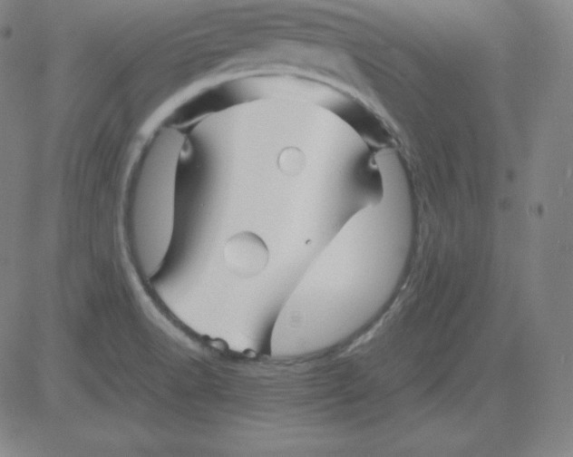 X0000081491518200702021910