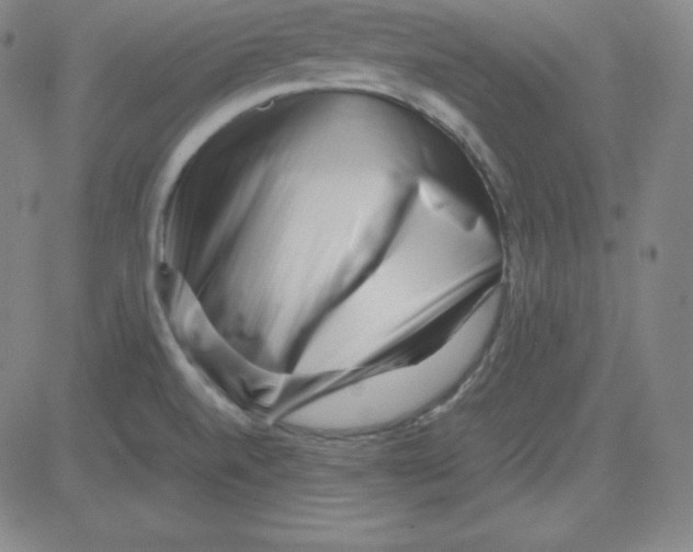 X0000081491520200702021910