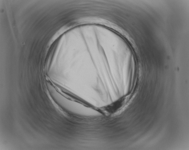 X0000081491521200702021910