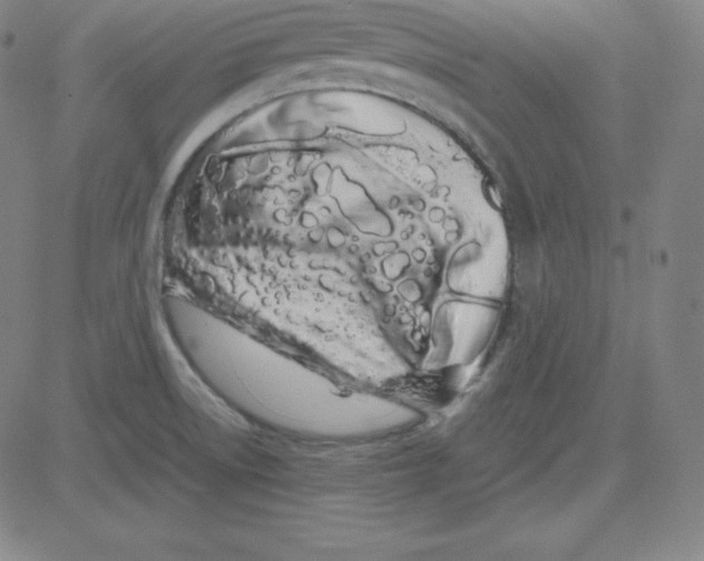 X0000081491522200702021910