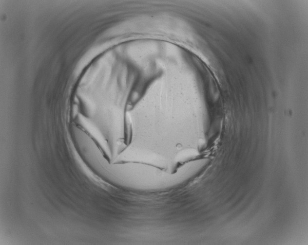 X0000081491523200702021910