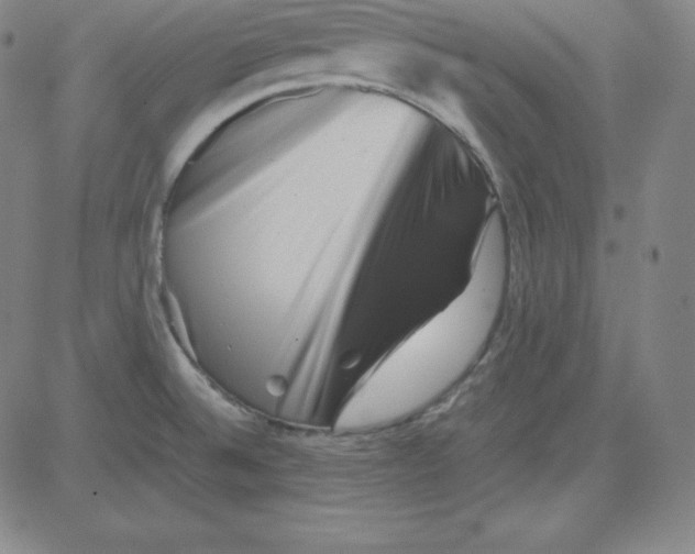 X0000081491524200702021910