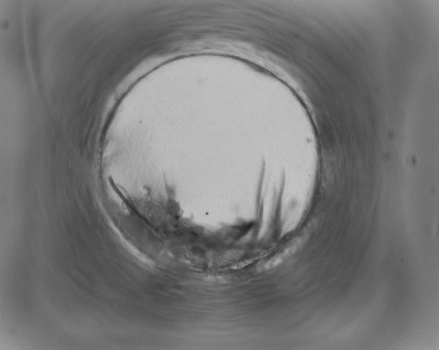 X0000081491525200702021910