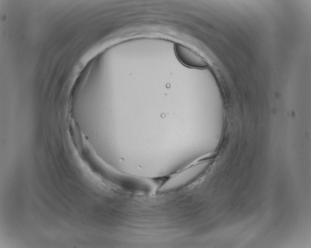 X0000081491526200702021910