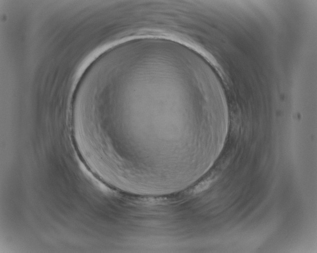 X0000081491527200702021910