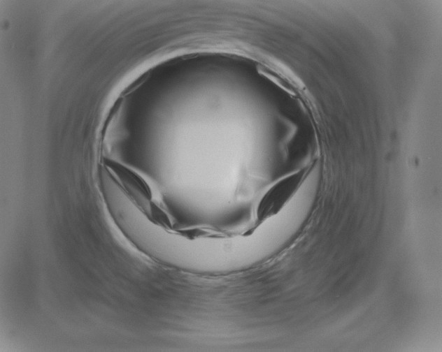 X0000081491528200702021910