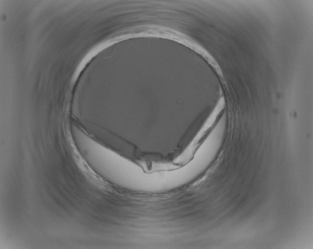 X0000081491530200702021910