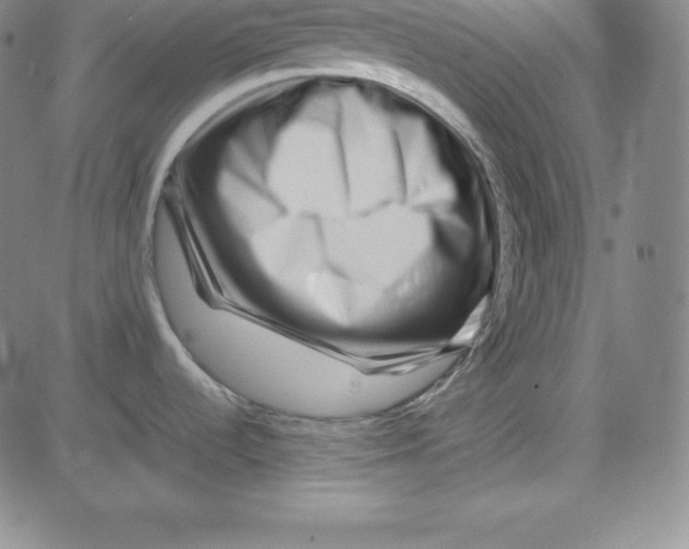 X0000081491536200702021910