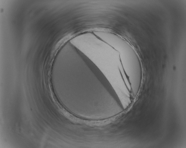 X0000081490001200702100042