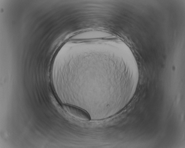 X0000081490002200702100042