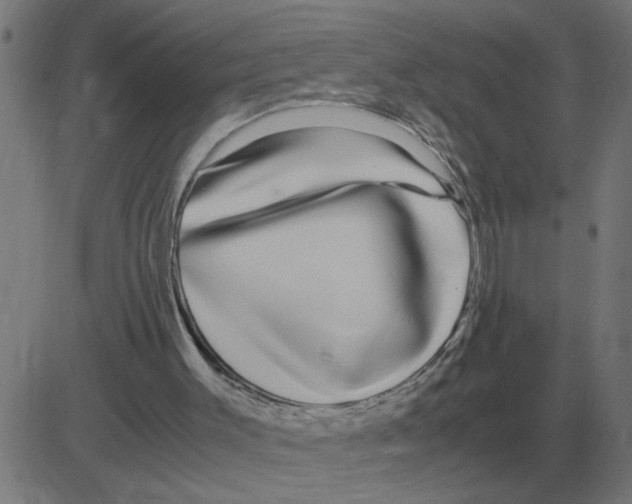 X0000081490003200702100041