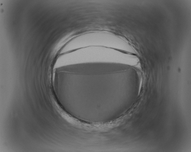 X0000081490005200702100041