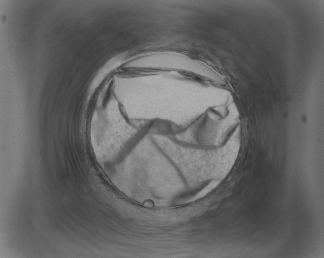 X0000081490006200702100041