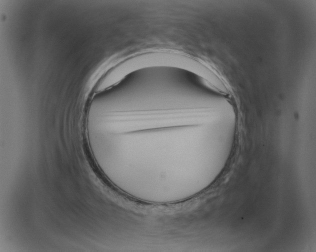 X0000081490007200702100041