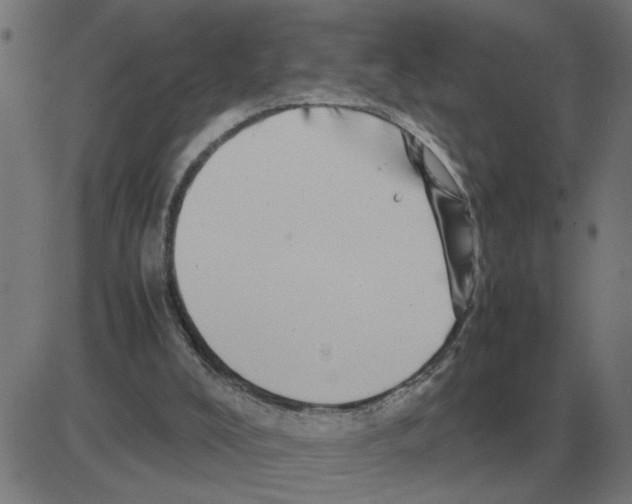 X0000081490008200702100041