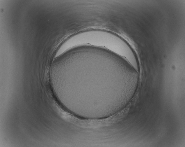 X0000081490009200702100041