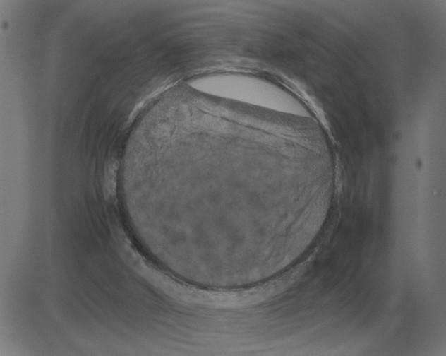 X0000081490010200702100041