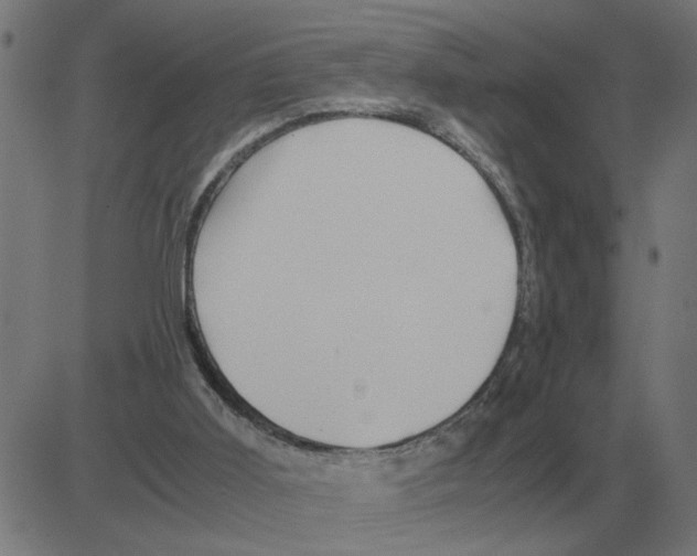 X0000081490011200702100041