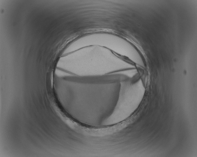 X0000081490013200702100041