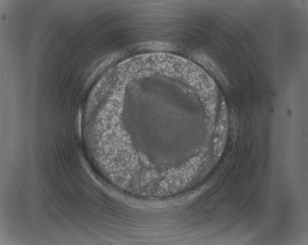 X0000081490014200702100041