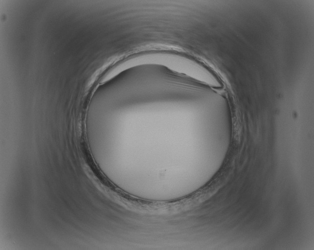 X0000081490015200702100041