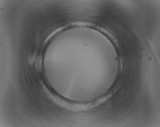 X0000081490016200702100041