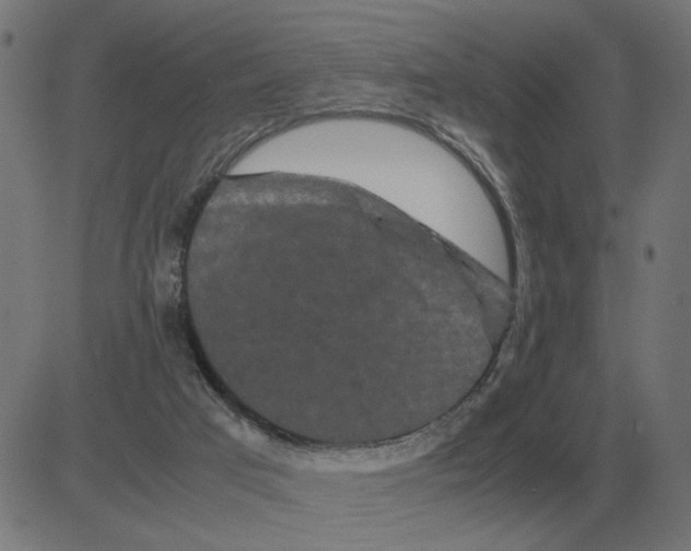 X0000081490017200702100041