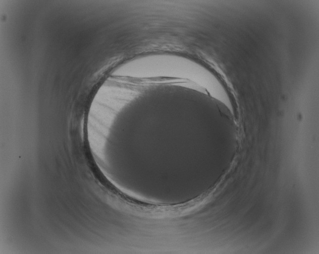 X0000081490019200702100041