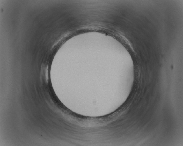 X0000081490020200702100041