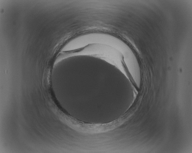 X0000081490023200702100041