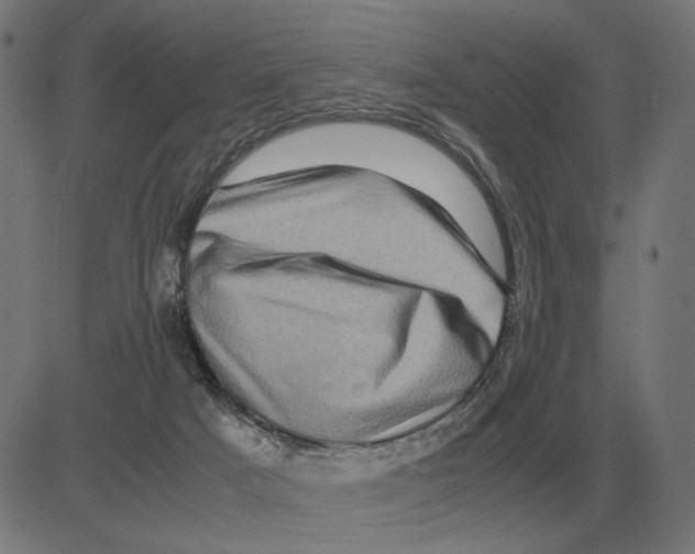 X0000081490025200702100041