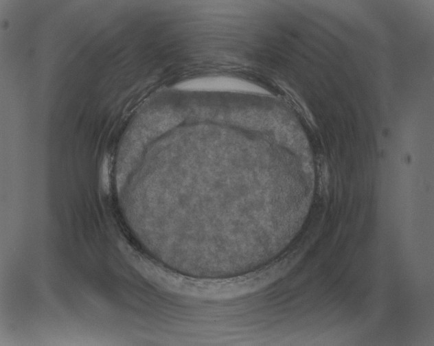 X0000081490026200702100041