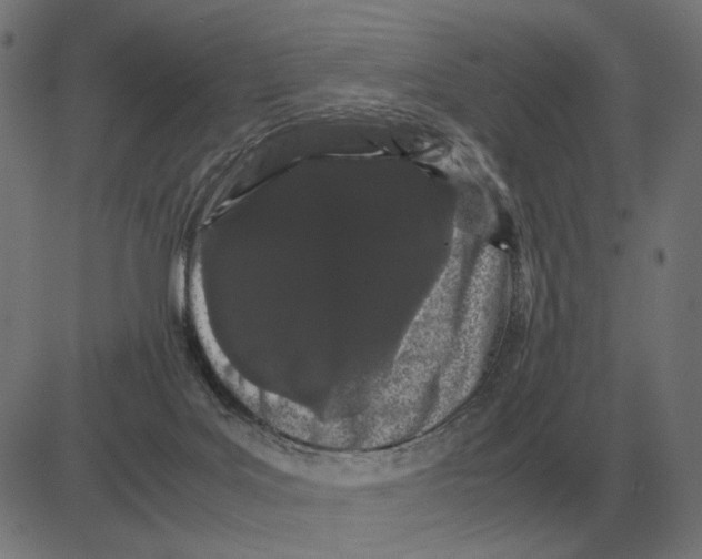 X0000081490027200702100041