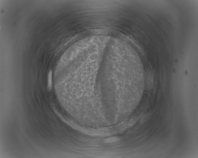 X0000081490028200702100041