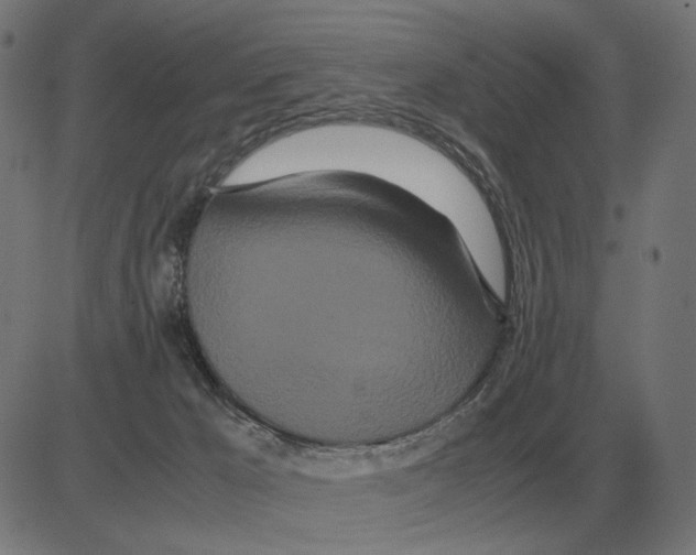 X0000081490029200702100041