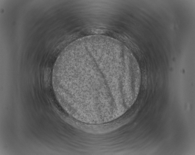 X0000081490030200702100041