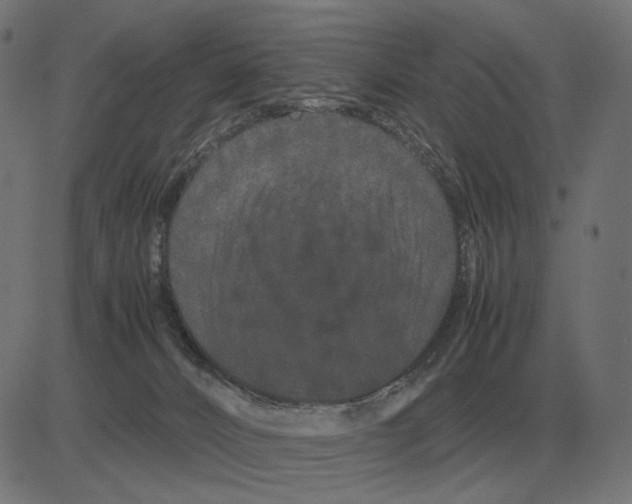 X0000081490032200702100041