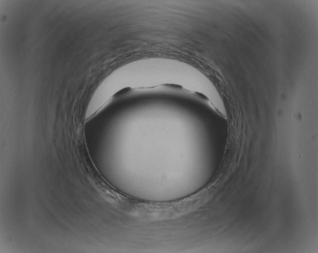 X0000081490033200702100041