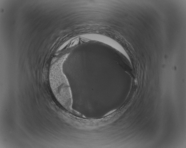 X0000081490035200702100041