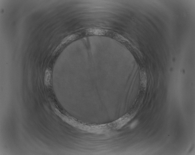 X0000081490036200702100041