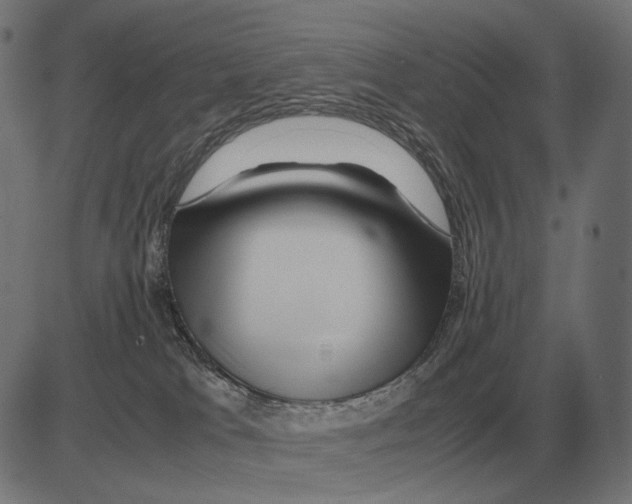 X0000081490037200702100041