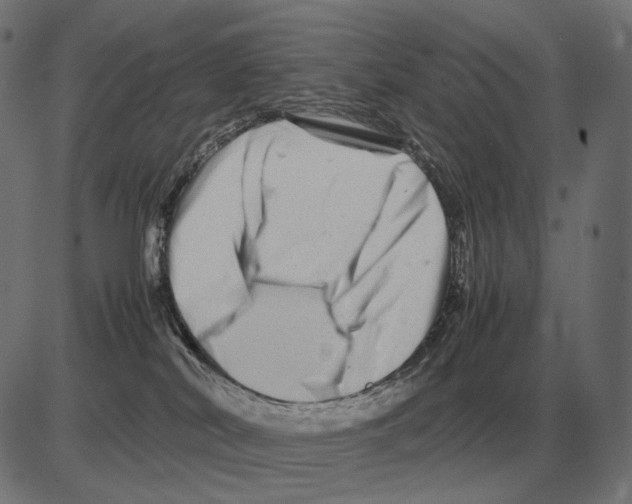 X0000081490038200702100041