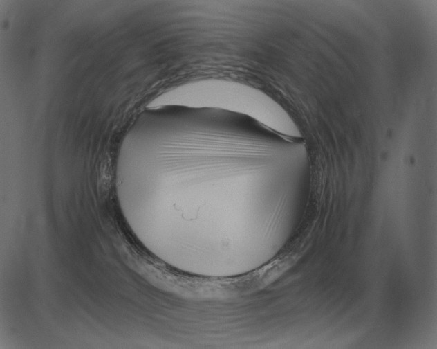 X0000081490040200702100041