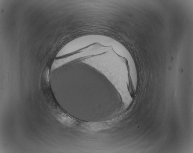 X0000081490041200702100041