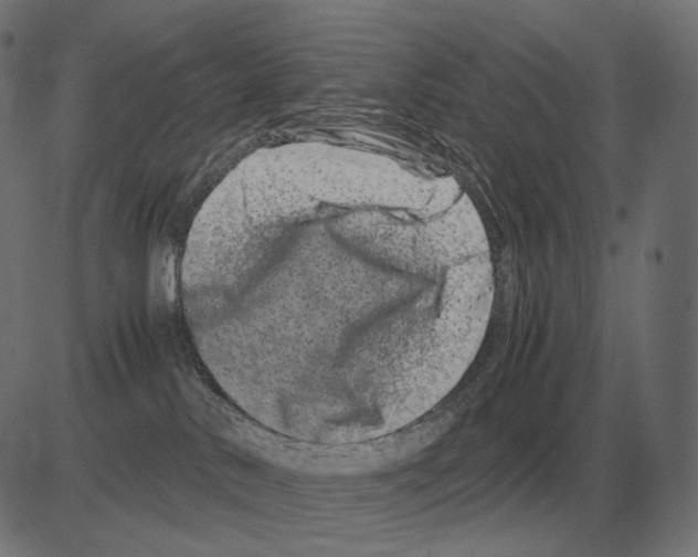 X0000081490042200702100041