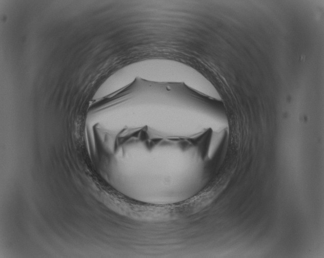 X0000081490044200702100041