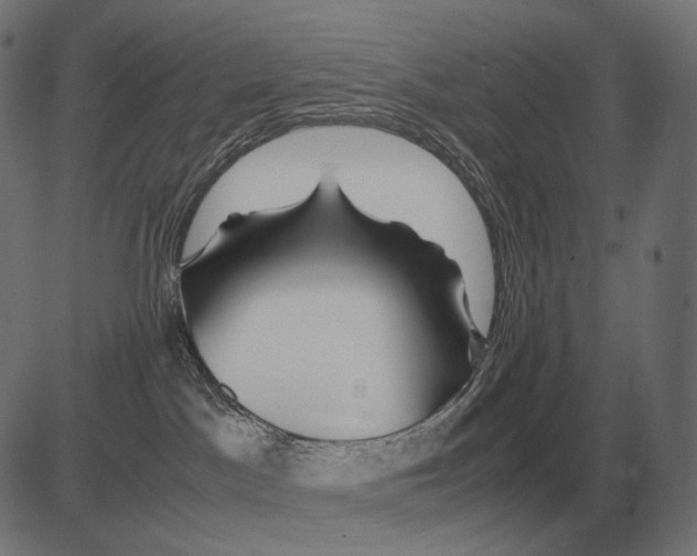 X0000081490045200702100041