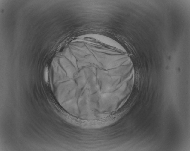 X0000081490046200702100041