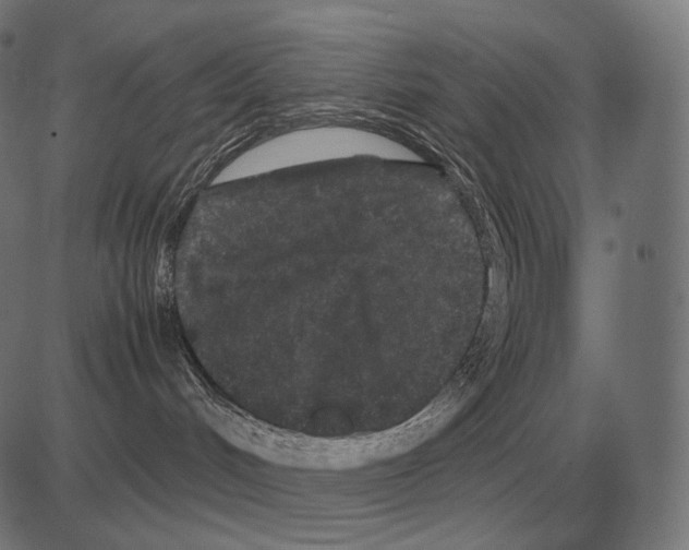 X0000081490048200702100041