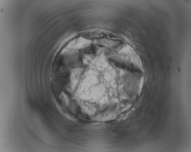 X0000081490050200702100040